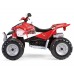 Pedale Acceleratore Polaris Outlaw con Pedana Peg Perego - ASGI9178GR